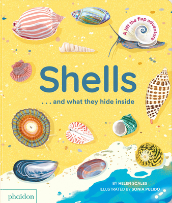 Shells... and what they hide inside: A Lift-the-Flap Adventure Cover Image