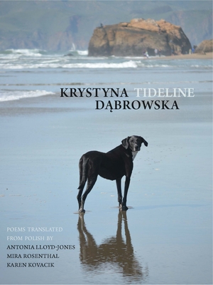 Tideline (New Polish Writing) By Krystyna Dąbrowska, Karen Kovacik (Translator), Antonia Lloyd-Jones (Translator) Cover Image