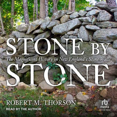 Stone by Stone: The Magnificent History in New England's Stone Walls Cover Image