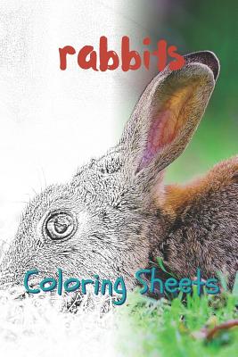 Rabbit Coloring Sheets: 30 Rabbit Drawings, Coloring Sheets Adults Relaxation, Coloring Book for Kids, for Girls, Volume 7 By Julian Smith Cover Image
