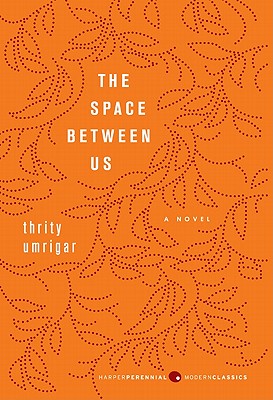 The Space Between Us: A Novel (Harper Perennial Deluxe Editions)