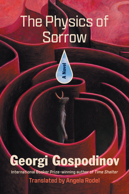 The Physics of Sorrow: A Novel