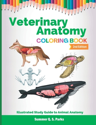 Veterinary Anatomy Coloring Book: Animal Anatomy and Veterinary Physiology Coloring Book Vet Tech By Summer Q. S. Parks Cover Image