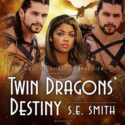 Twin Dragons' Destiny Lib/E By S. E. Smith, David Brenin (Read by) Cover Image
