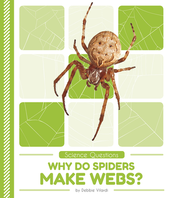 O que significa spider webs? - Pergunta sobre a Inglês (EUA)