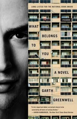 What Belongs to You: A Novel