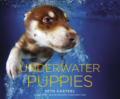 Underwater Puppies Cover Image