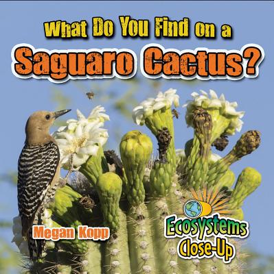 What Do You Find on a Saguaro Cactus? (Ecosystems Close-Up)