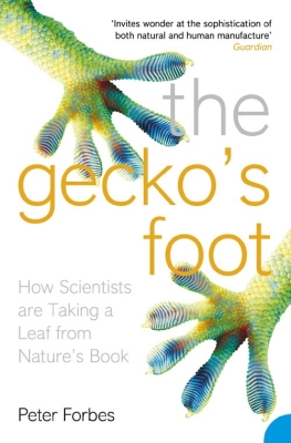 The Gecko's Foot: How Scientists are Taking a Leaf from Nature's Book Cover Image