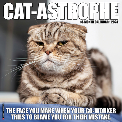 Cat-Astrophe 2024 12 X 12 Wall Calendar By Willow Creek Press Cover Image