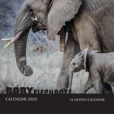 Baby Elephants Calendar 2020: 16 Month Calendar By Golden Print Cover Image