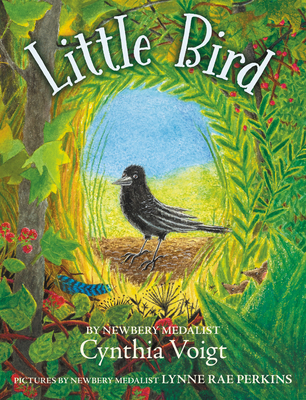 Cover for Little Bird