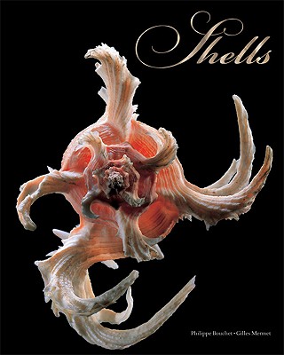 Shells By Philippe Bouchet, Gilles Mermet (Photographer) Cover Image