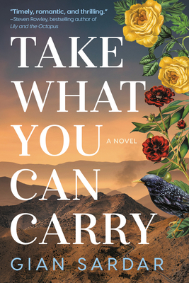 Cover for Take What You Can Carry