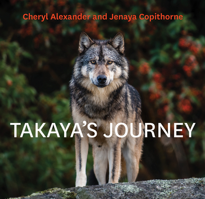 Takaya's Journey Cover Image