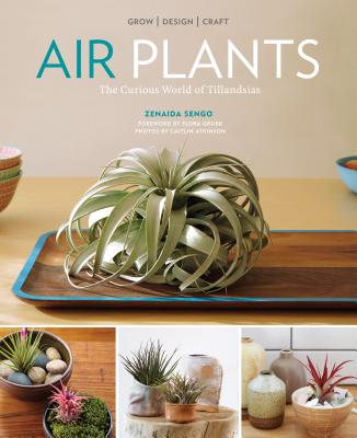 Air Plants—A Trendy Plant with a Long Story! (Rutgers NJAES)