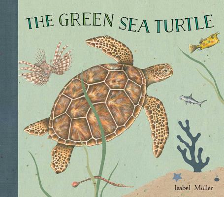 The Green Sea Turtle By Isabel Müller Cover Image