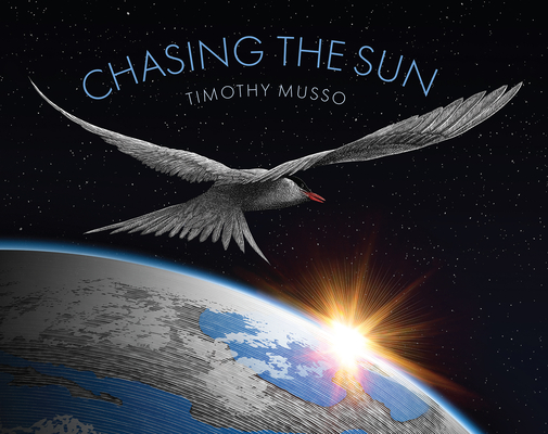 Chasing the Sun Cover Image