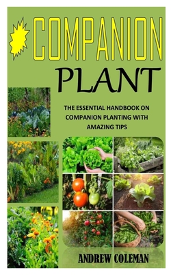 automatic watering system for house plants Automatic watering system for houseplants