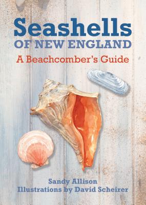 Seashells of New England: A Beachcomber's Guide By J. Duane Sept (Concept by), David Scheirer (Drawings by), Sandy Allison Cover Image