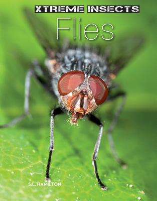 Flies (Xtreme Insects) (Library Binding)