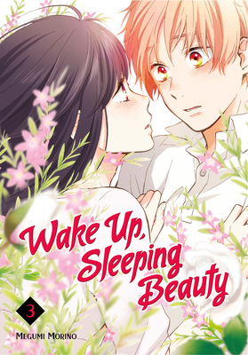 Wake Up, Sleeping Beauty 3 By Megumi Morino Cover Image