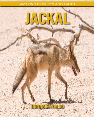 Jackal: Amazing Pictures and Facts (Paperback) | Books and Crannies