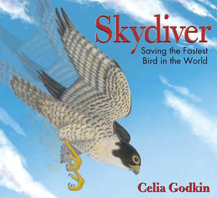 Skydiver: Saving the Fastest Bird in the World By Celia Godkin, Celia Godkin (Illustrator) Cover Image