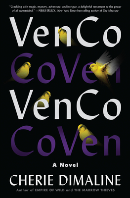 VenCo: A Novel Cover Image