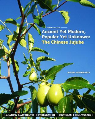 Ancient Yet Modern, Popular Yet Unknown: The Chinese Jujube: An In-Depth Guide to Growing and Propagating Chinese Jujubes