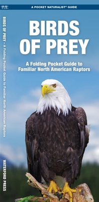 Birds of Prey: An Introduction to Familiar North American Species (Wildlife and Nature Identification)