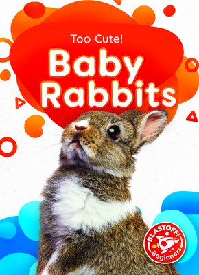 Baby Rabbits (Too Cute!)