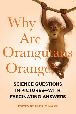 Cover for Why Are Orangutans Orange?