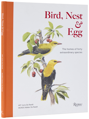 ・D.・Birds nest・[Ｂ＆Ｇmodel master]希少 Weaver Bird Building nest Wincent XmGQJ #bird #nature #wildlife