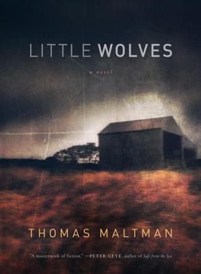 Cover Image for Little Wolves: A Novel