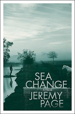 Cover Image for Sea Change: A Novel