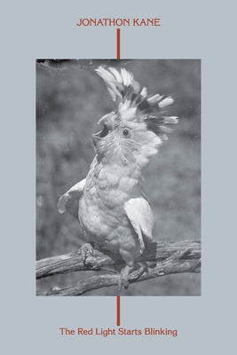 The Red Light Starts Blinking By Jonathon Kane Cover Image