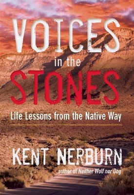 Cover for Voices in the Stones