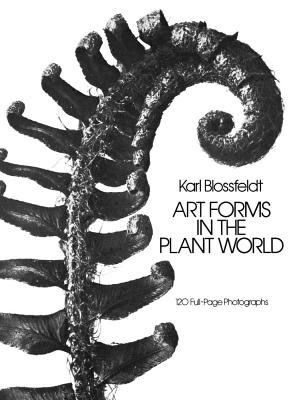 Art Forms in the Plant World (Dover Pictorial Archive) By Karl Blossfeldt Cover Image