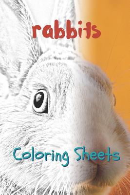 Rabbit Coloring Sheets: 30 Rabbit Drawings, Coloring Sheets Adults Relaxation, Coloring Book for Kids, for Girls, Volume 8 By Julian Smith Cover Image