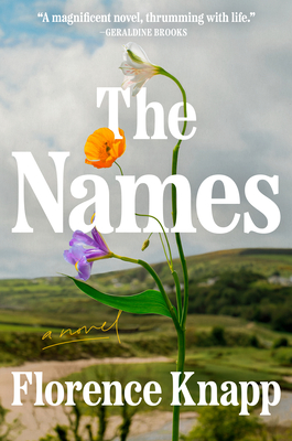 Cover Image for The Names: A Novel