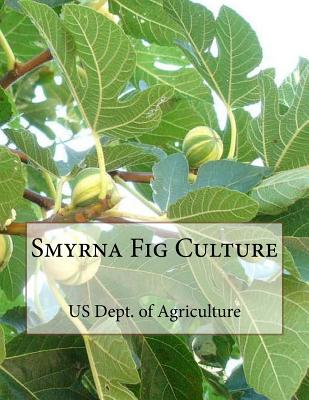 Smyrna Fig Culture Cover Image
