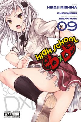 High School DxD Light Novel Book Series