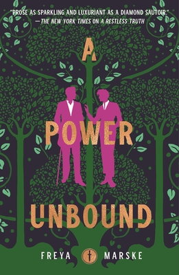 A Power Unbound (The Last Binding #3) Cover Image