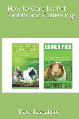 Guinea pig care store guide for beginners