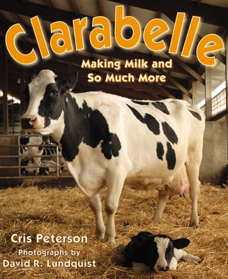 Clarabelle: Making Milk and So Much More By Cris Peterson, David R. Lundquist (Photographs by) Cover Image