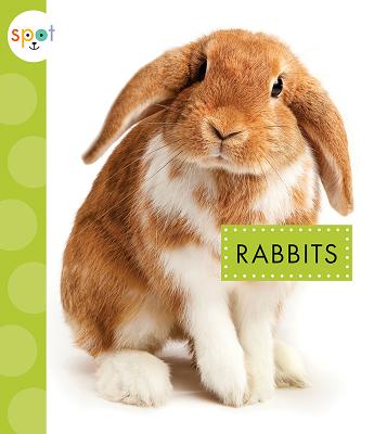 Rabbits (Spot Pets) Cover Image
