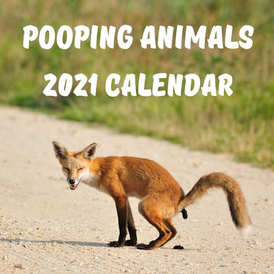 Pooping Animals 2021 Calendar: Hilarious Holiday Gift With High Quality Pictures of Cute Animals Pooping. Pooping Animals Calendar 2021. Animals Wall Cover Image