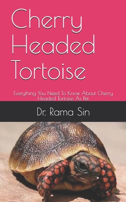 Cherry Headed Tortoise: Everything You Need To Know About Cherry Headed Tortoise As Pet