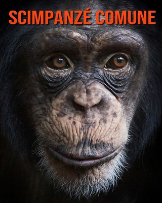 Scimpanzé comune: Fantastici fatti e immagini By Pam Louise Cover Image